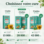 Thé Détox 18 Saveurs — La Routine Naturelle Contre le Ventre Lourd, les Ballonnements et les Excès Alimentaires Bel Soin